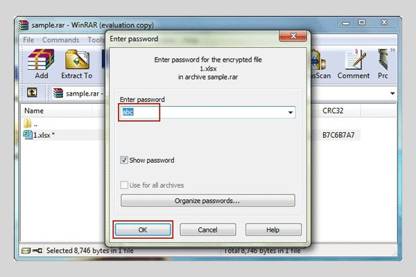 open winrar with password