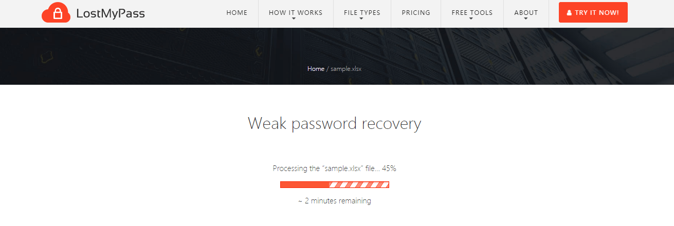 Try to recover a weak password using LostMyPass